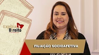 Explica Direito Filiação Socioafetiva  2019 [upl. by Narmis]