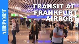 TRANSIT WALK AT FRANKFURT Airport FRA Terminal 1  Connection Flight Transfer Arriving amp Departing [upl. by Walford]